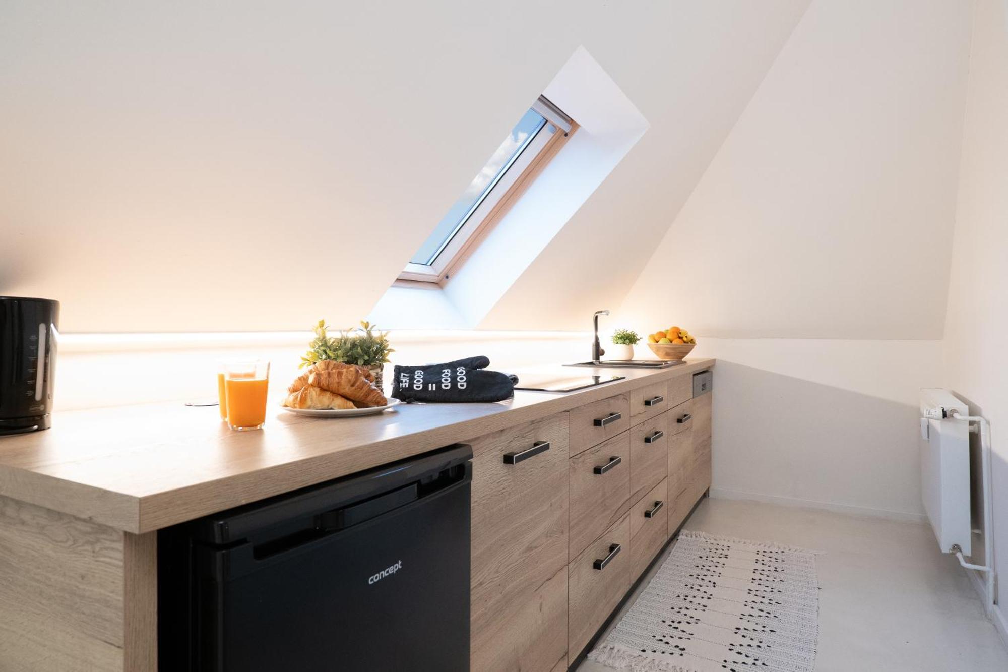 U Zlate Hvezdy, Karel IV Apartment ลิโตเมริเซ ภายนอก รูปภาพ